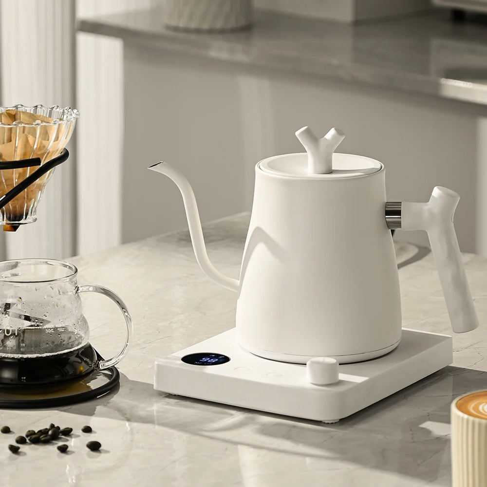 Electric Gooseneck Kettle