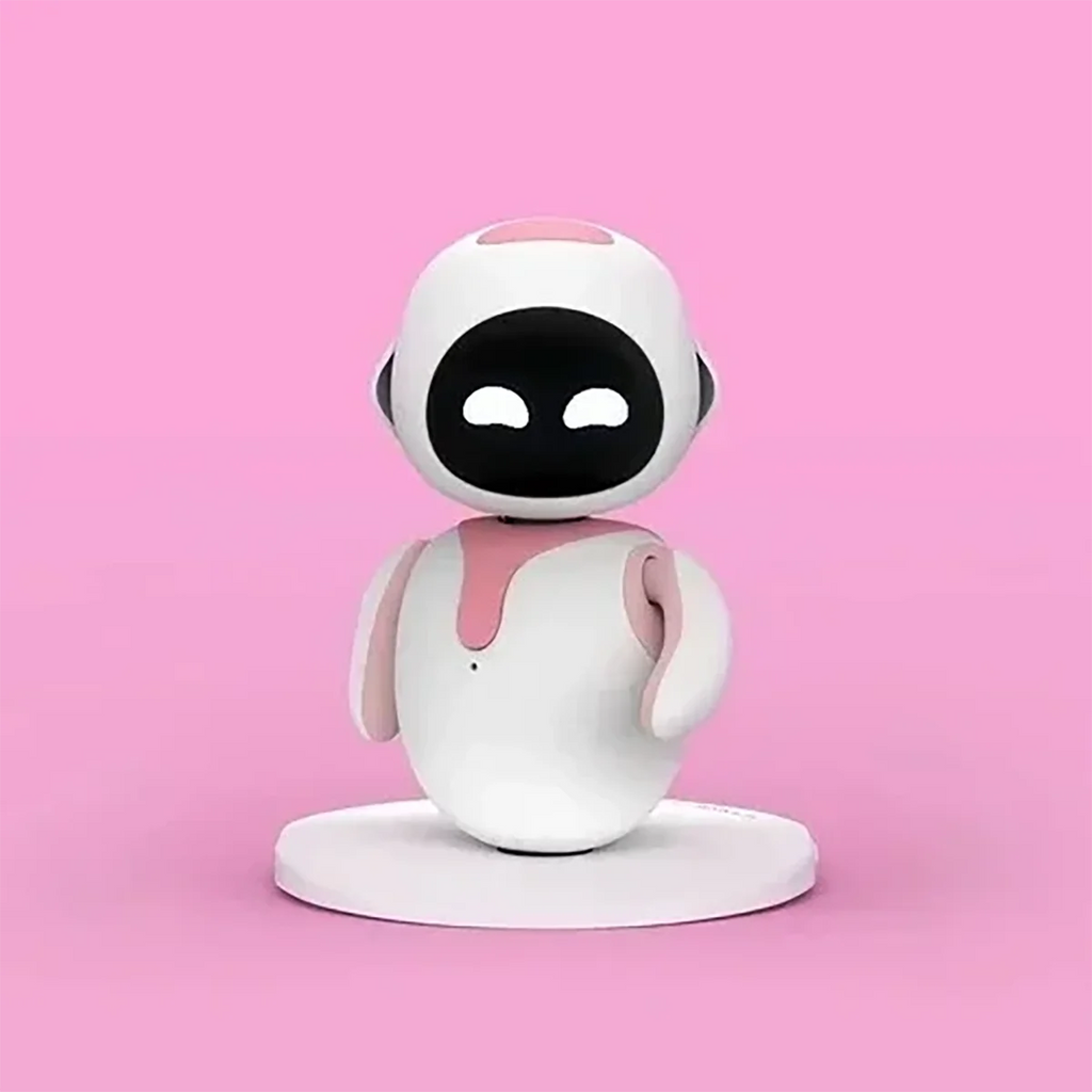 AI Companion Robot
