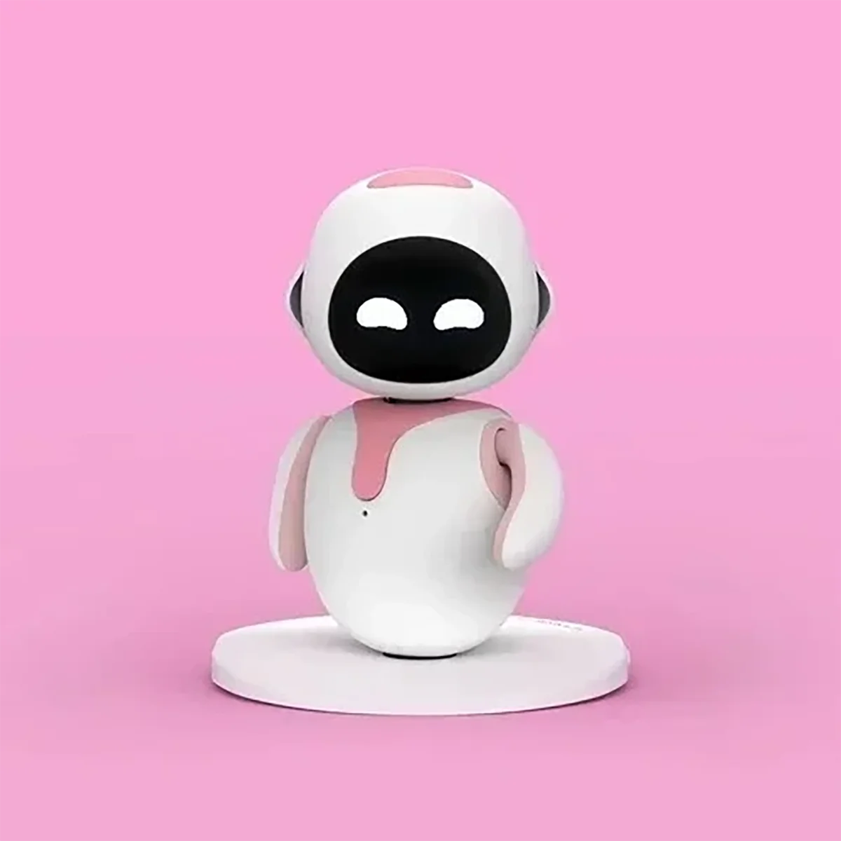 AI Companion Robot