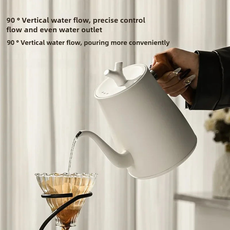 Electric Gooseneck Kettle