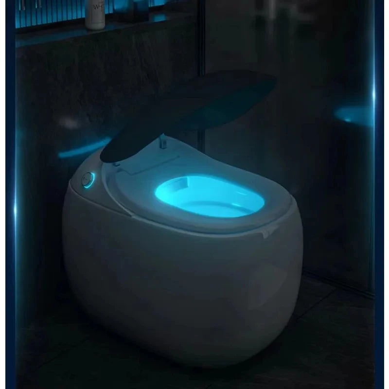 Smart Touchless Bidet Toilet
