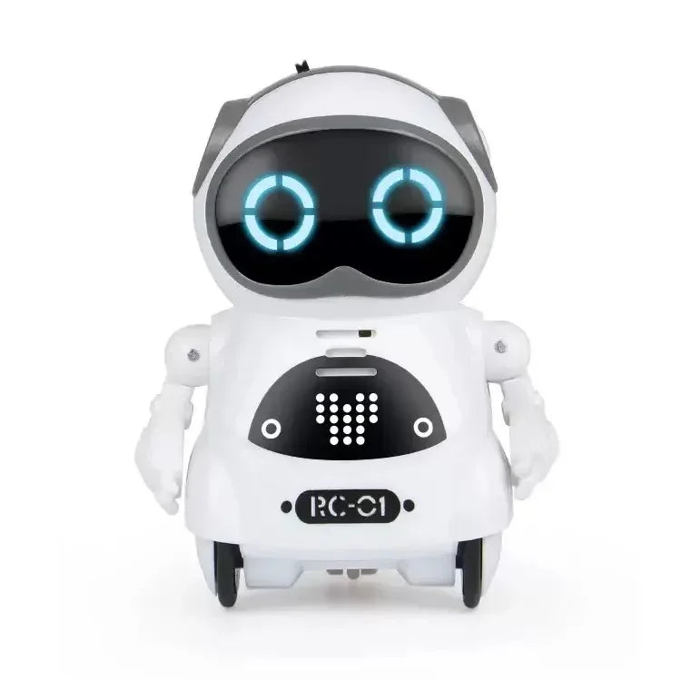 AI Companion Robot