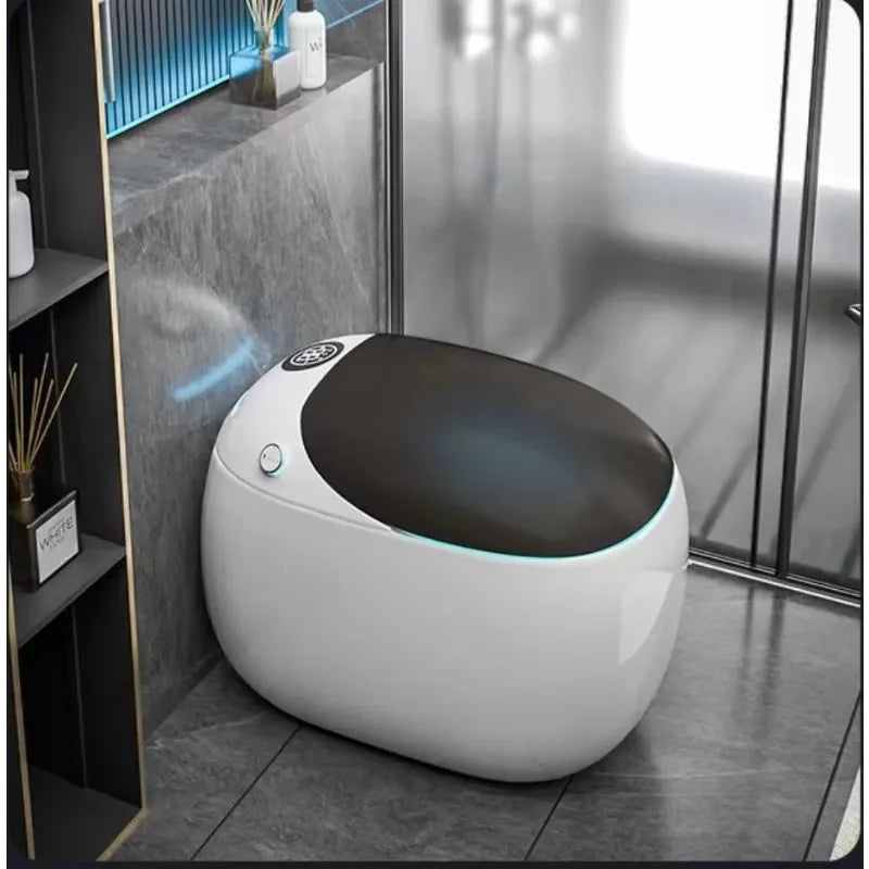 Smart Touchless Bidet Toilet