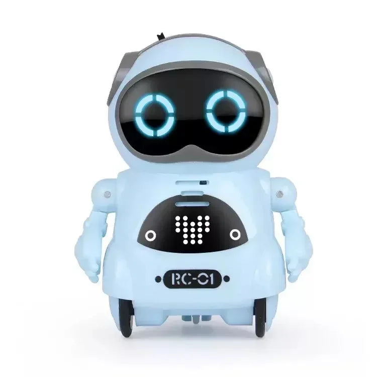 AI Companion Robot