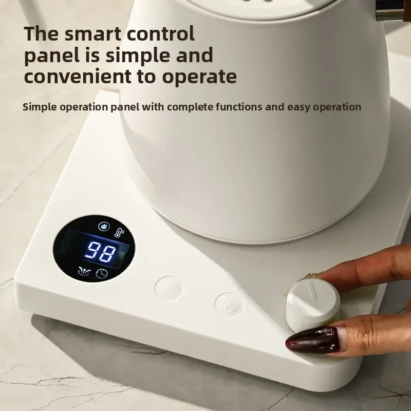 Electric Gooseneck Kettle