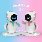 AI Companion Robot
