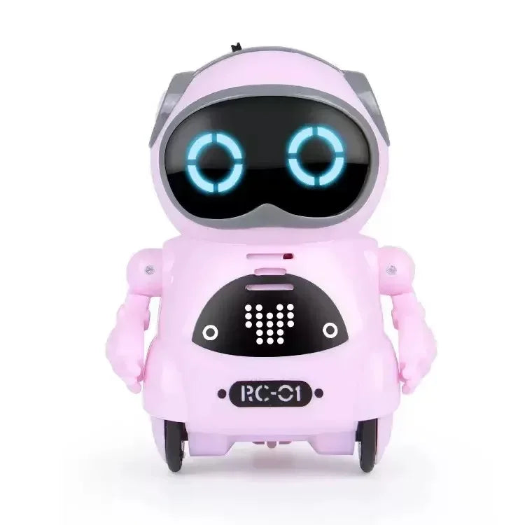 AI Companion Robot