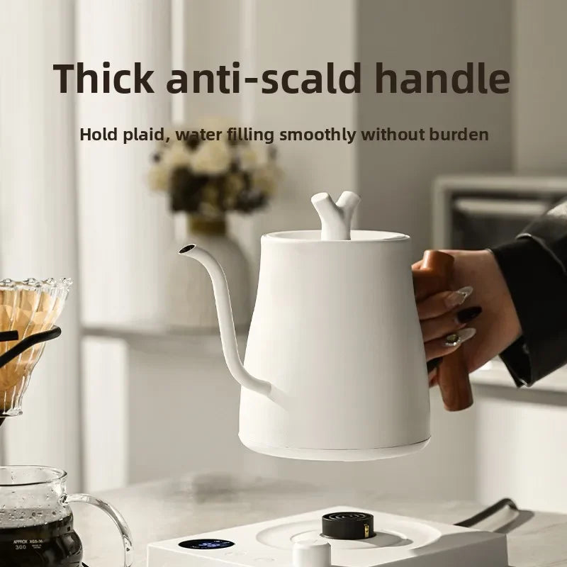 Electric Gooseneck Kettle